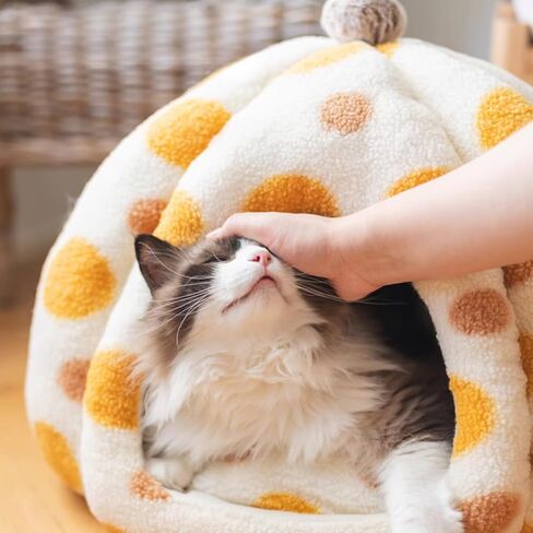 سرير Cat Polka dot yurt ، مخبأ كهف شبه محفوف بالمختارة ، منزل مريح ناعم للقطن الداخلي (الأزرق ، كبير) in Kuwait