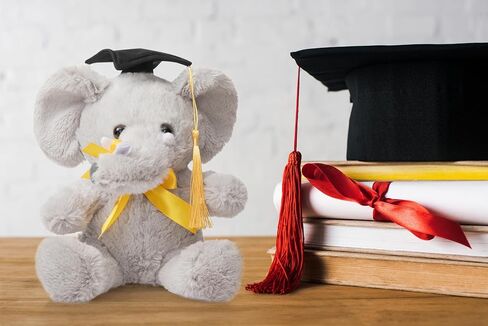 Hollyhome Graduation Elephant Plush 2024 هدايا التخرج لمدرسة رياض الأطفال الثانوية أو الحيوانات المحشوة بالكلية مع شهادة CAP الرمادية 8 بوصة in Kuwait