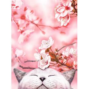 Pintoo Jigsaw Puzzles 300 Piece for Adults - Cherry Blossom - Sakura Cat Beautiful Plastic Puzzle for Home Decor Zero Dust Easy Storage [H2462]