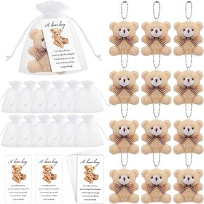 Zhanmai 12 Set Mini Plush Bears Geam Goke Little for Kids Inspirational Bear Hug Gift Card Arganza Facs for End of Year Party Party Favors