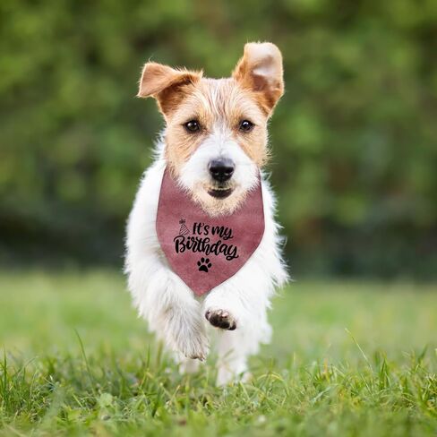 Dog Birthday Bandana Decorations Outfit It's My Birthday Pet Dog Pink Bandana Scarf Birthday Party Decorations Supplies Gifts for Dogs in Saudi Arabia