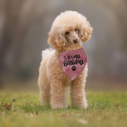 Dog Birthday Bandana Decorations Outfit It's My Birthday Pet Dog Pink Bandana Scarf Birthday Party Decorations Supplies Gifts for Dogs in Saudi Arabia