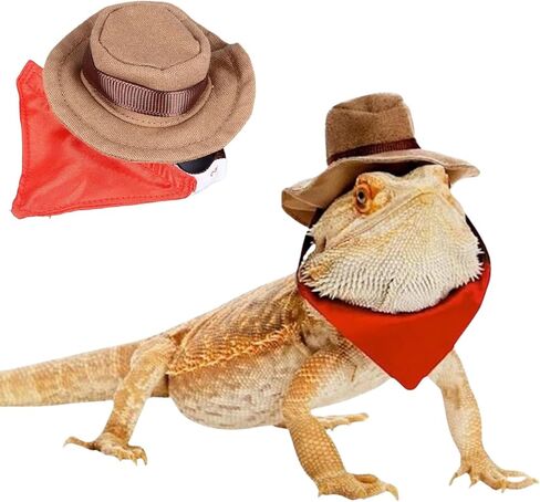 Bearded Dragon Cowboy Hat and Bandana Set Adjustable Lizard Reptile Costume Cool Pet Cap Halloween Costume Photo Props for Gecko Chameleon Amphibians Ferret Hamster (Brown) in Saudi Arabia