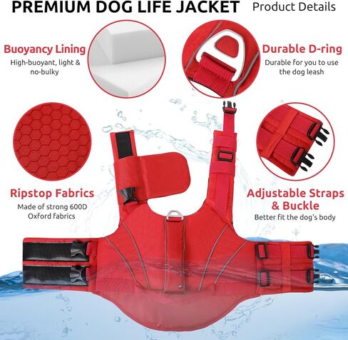 Queenmore Small Dog Life Jacket with Reflective Stripes, Adjustable Life Jacket for Small Dogs, Puppy Swimming Vest High Flotation, Puppy Life Jacket with Front Neck Float (Blue,S) in Kuwait