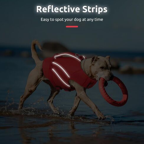 Queenmore Small Dog Life Jacket with Reflective Stripes, Adjustable Life Jacket for Small Dogs, Puppy Swimming Vest High Flotation, Puppy Life Jacket with Front Neck Float (Blue,S) in Kuwait