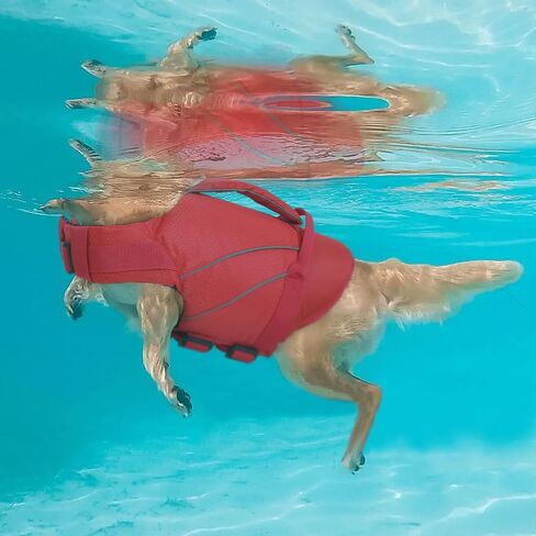 Queenmore Small Dog Life Jacket with Reflective Stripes, Adjustable Life Jacket for Small Dogs, Puppy Swimming Vest High Flotation, Puppy Life Jacket with Front Neck Float (Blue,S) in Kuwait