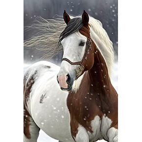 RMSGOZO 5D Snowy Horse Diamond Painting Kits - Winter Coll Clow Clastal Art Craft Kits للبالغين والأطفال ، للحصول على ديكور الجدران ديكور غرفة المعيشة (12 × 16 بوصة)