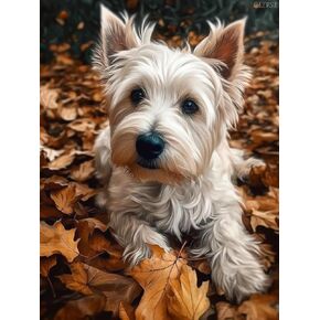 Qazwsx DIY Diamond of Painting بأرقام Westie وأوراق الخريف ، حفر الماس الدائرية الكاملة تعبر غرزة الفنون الكريستالية الفسيفساء ودهانات الفسيفساء الفسيفساء لتديين الجدار المنزلي 30 × 40 سم