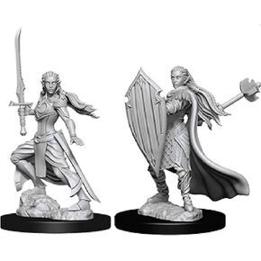 D&D Nolzurs Marvelous Unpainted Miniatures: Wave 9: Elf Female Paladin