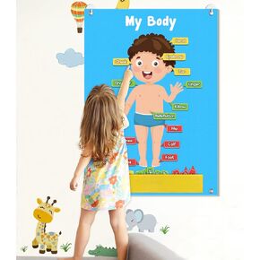 AKAYOK 35 Pcs Body Parts for Kids Felt Board Set Preschool Learning Interactive Educational Human Teaching Storytelling Early Learning Play Kit Interactive Wall Activity for Kids