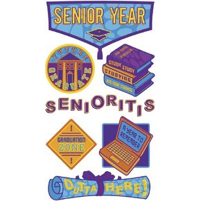 Sticko Metallic Dimensional Stickers-Senior Year