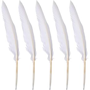 10 PCS Feather Calligraphy Ambens Quill Point Pens Signature Writing Attage Attage Ink Pens Dip Dip Antique Dist Assigning Wedding Abs School Schools School