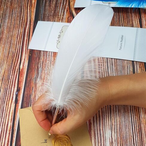 Feather Ballpoint Pen-Black Ink Vintage Feather Quill Refined Plated Rod Quill Ballpoint Pen For School Writing ▏Wedding Gift Signature Pen (White) in Saudi Arabia