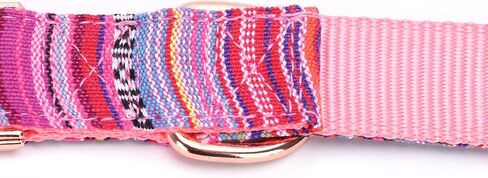 Serijoars Dog Collar, Soft Comfortable Nylon Dog Collars for Large Dogs, Small Dogs & Medium Dogs. Durable Adjustable Dog Collar for Any Size Breed (M, Blue) in Saudi Arabia