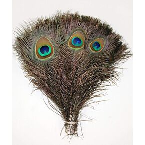 50 Pcs Natural Peacock Feathers : Various Sizes (10-12")