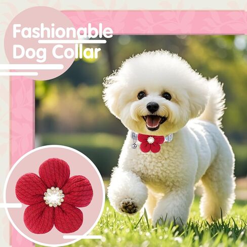 Puppy Collars for Litter, Small Dog Collar, xs Dog Collar, Dog Collars for Small Dogs with Flower and Bell (Yellow + Pink + Red) in Saudi Arabia