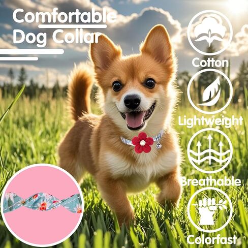 Puppy Collars for Litter, Small Dog Collar, xs Dog Collar, Dog Collars for Small Dogs with Flower and Bell (Yellow + Pink + Red) in Saudi Arabia
