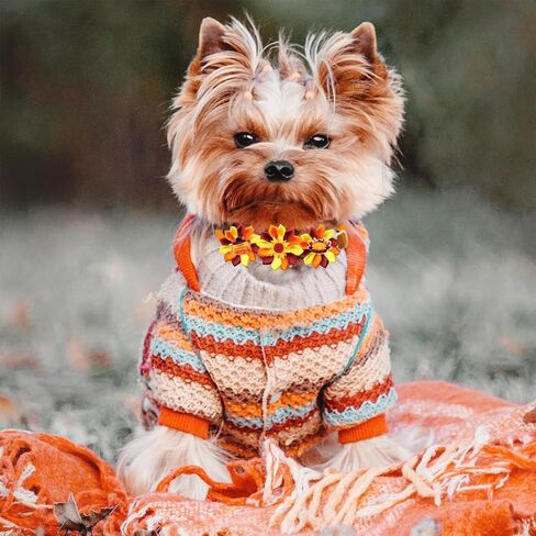 40Pcs Thanksgiving Dog Grooming Bows Bulk Adjustable Cat Bowties with Colorful Petals Holiday Pet Grooming Accessories Bowknots Thanksgiving Flower Bowties for Dogs in Saudi Arabia
