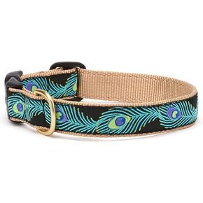 UP Country Peacock Dog Cog (متوسط ​​12-18 "ضيق 5/8")