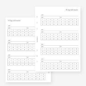 A5 30 Day Tracker Insert Insert Agenda Rechill for Filofax A5 ، Kikki K Large ، LV GM Size 6 Ring Agendas ، 5.8 × 8.3