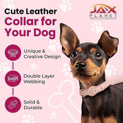 Microfiber Soft Leather Collar for Dogs -Adjustable Fashion Peach Pink No-Cruelty MF Leather Collar for Puppies-Breathable Waterproof for Indoor Outdoor Use Designer Thin Dog Collar for Small Dog[S] in Saudi Arabia