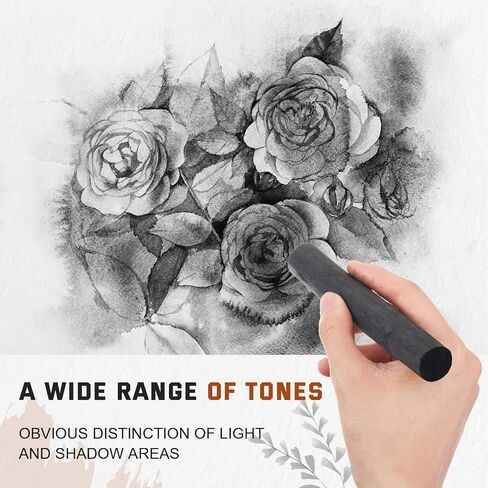 Gueevin 5 Pcs Jumbo Willow Charcoal Sticks 0.79-0.94 Inch Large Soft Willow Charcoal Chunky Drawing for Sketching Artist Supplies, Black in Kuwait