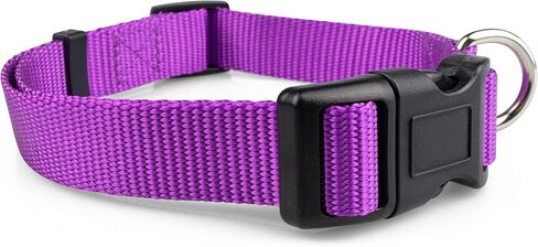 Limeloot Purple Dog Collar Medium in Saudi Arabia