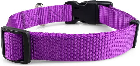 Limeloot Purple Dog Collar Medium in Saudi Arabia