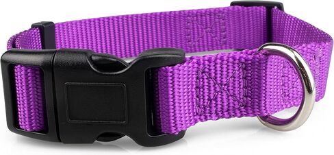 Limeloot Purple Dog Collar Medium in Saudi Arabia