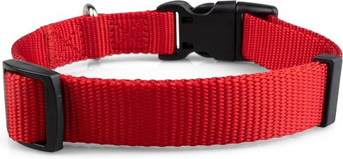 Limeloot Purple Dog Collar Medium in Saudi Arabia