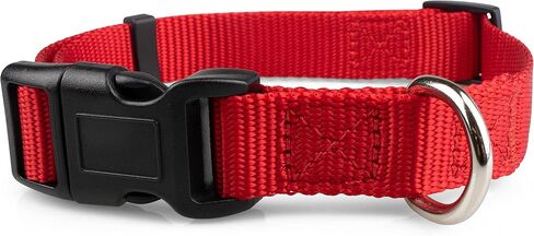 Limeloot Purple Dog Collar Medium in Saudi Arabia