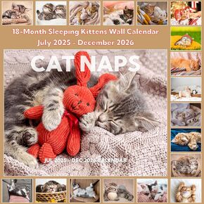 2025-2026 Calendar, Cat Naps Calendar 2025-2026 Wall. Jul 2025 - Dec 2026, 11" x 17" (Open), 18-Month Sleeping Kittens Wall Calendar, Unruled Blocks, Thick Paper, Hanging Holes, Ample Writing Space