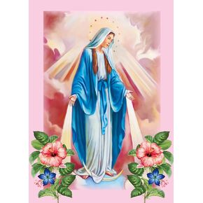 Rostitch Cross Stitch Dy1014 Virgin Mary Cross Cross Stitch Kits للمبتدئين ، مجموعات غرز المطبوعة مسبقًا المطبوعة مسبقًا للبالغين ، ومجموعات الفنون الحرفية على مدار 24 × 32