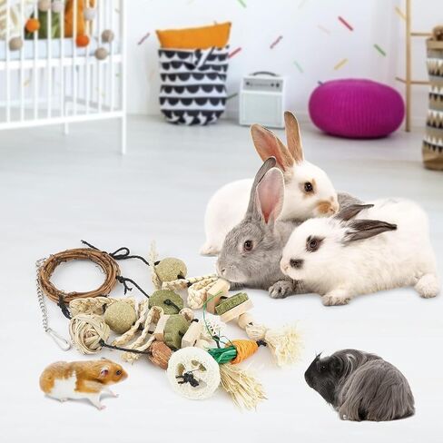 Bissap Bunny Chew Toy, Rabbits Cage Hanging Chew Toys and Treats Rattan Ring with Snacks Water Grass Wooden Block Carrot for Guinea Pigs Chinchillas Hamsters Rats and Other Small Pets Teeth Grinding in Kuwait