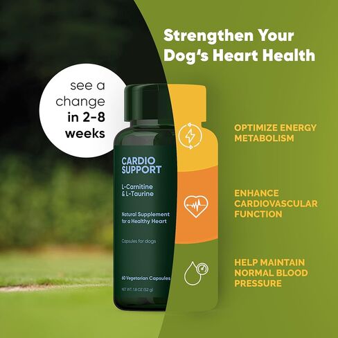 Joint and Muscle Health - Hip and Joint Supplement for Dogs with UC-II Type II Collagen and L-Carnitine - Medium and Large Dog Joint Supplement - 30/ct in Saudi Arabia