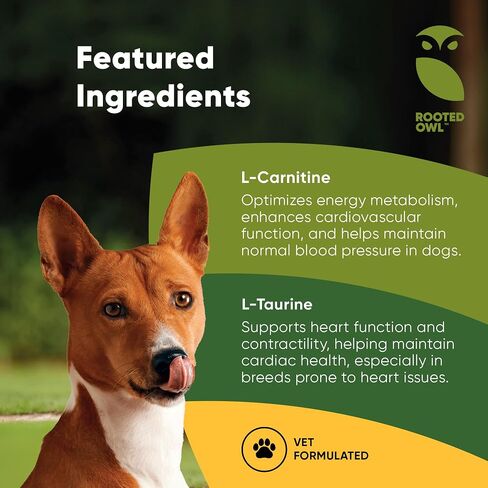 Joint and Muscle Health - Hip and Joint Supplement for Dogs with UC-II Type II Collagen and L-Carnitine - Medium and Large Dog Joint Supplement - 30/ct in Saudi Arabia