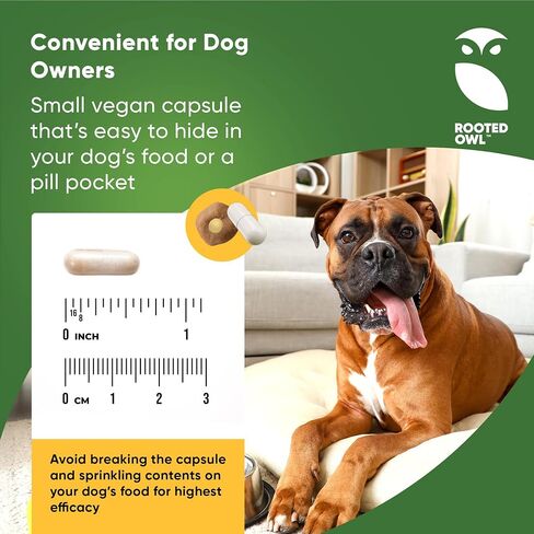 Joint and Muscle Health - Hip and Joint Supplement for Dogs with UC-II Type II Collagen and L-Carnitine - Medium and Large Dog Joint Supplement - 30/ct in Saudi Arabia