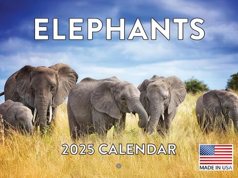 Sloth Calendar 2025 Sloth Gifts Monthly Wall Calender 12 Month | American Made In The USA in Saudi Arabia