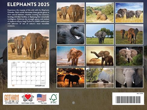 Sloth Calendar 2025 Sloth Gifts Monthly Wall Calender 12 Month | American Made In The USA in Saudi Arabia