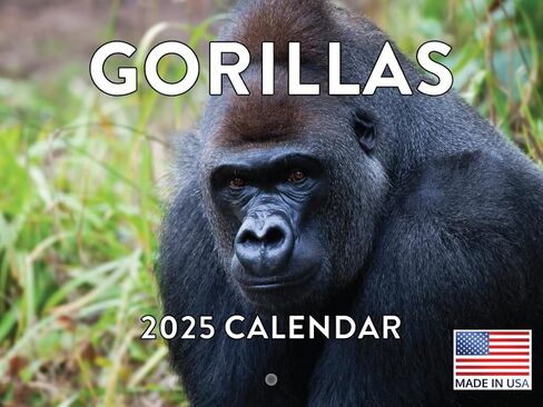 Sloth Calendar 2025 Sloth Gifts Monthly Wall Calender 12 Month | American Made In The USA in Saudi Arabia