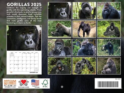 Sloth Calendar 2025 Sloth Gifts Monthly Wall Calender 12 Month | American Made In The USA in Saudi Arabia