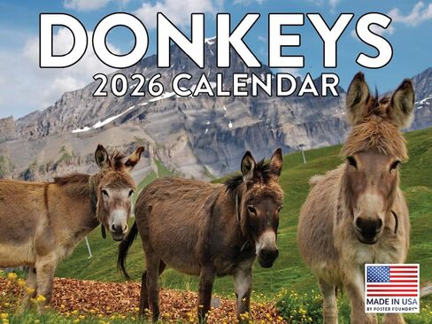 Sloth Calendar 2025 Sloth Gifts Monthly Wall Calender 12 Month | American Made In The USA in Saudi Arabia
