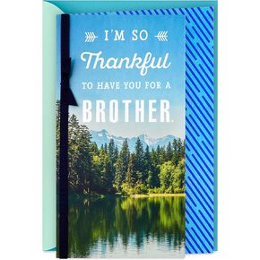 Hallmark Birthday Card for Brother (So Thankful)