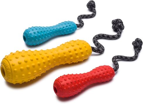 Ruffwear, Gourdo Natural Rubber Throw Toy for Dogs with Rope Handle, Campfire Orange, Large in Kuwait