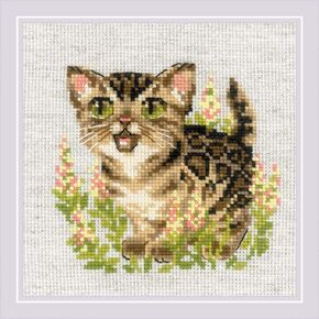 RIOLIS - Bengal Kitten 2119, Cross Stitch Kits 6" x 6", Cross Stitch Kits for Beginners & Advanced, Crossstitching Kit Adult, Embroidery Counted Stitching Kit