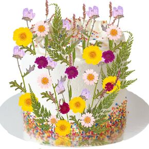 ephlyn 24pcs كعكة البرية القبعات العليا ديكور البرية في زهرة الطفل إزهار كعكة دش للنساء للنساء الزفاف دش الحفل الزفاف الأرجواني أ