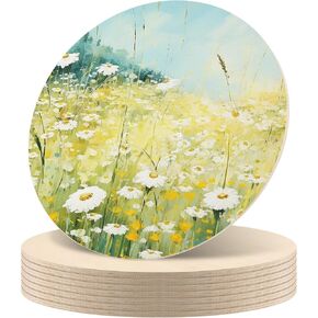 8 PCS 12 Inch Wood Circles,1/4 Inch Thick Wood Cutout, Unfinished Wooden Circles for Crafts, Door Hanger, Wall Art, DIY and Decorations