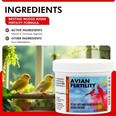 Morning Bird Avian Fertility Formula (16 oz) in Kuwait