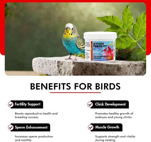 Morning Bird Avian Fertility Formula (16 oz) in Kuwait