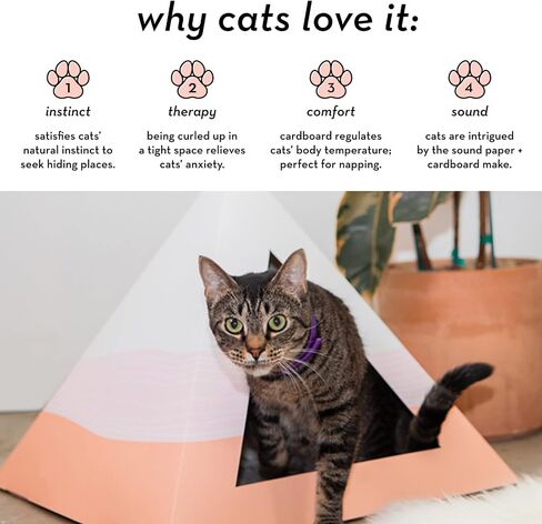 Modern Cat Bed - Cozy, Stylish & Durable Cardboard Pet Hideaway - Eco-Friendly, Minimal Designs, Easy to Assemble in Saudi Arabia